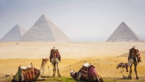 Más destacada sitio de venta de Papiro Egipcio