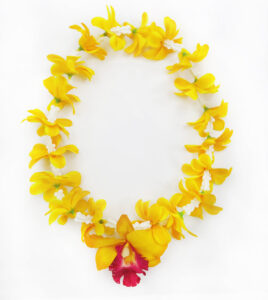 Flor Hawaiana - mirar y obtener artículo